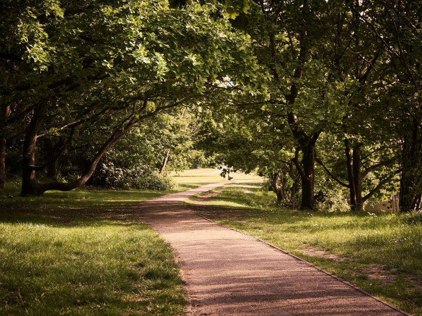 Path-to-trees