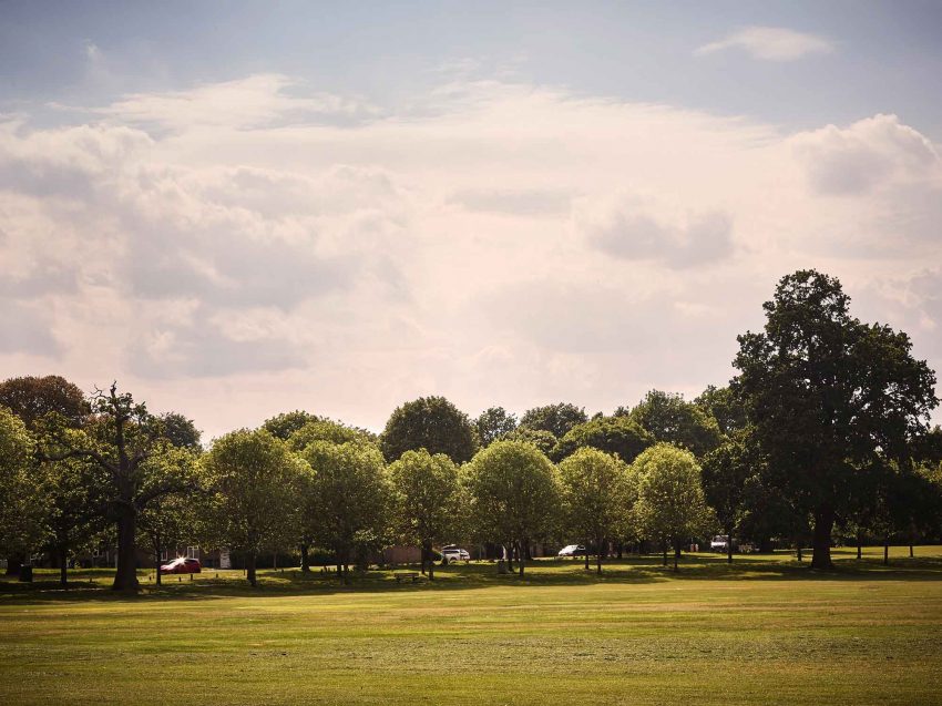 Trees_line