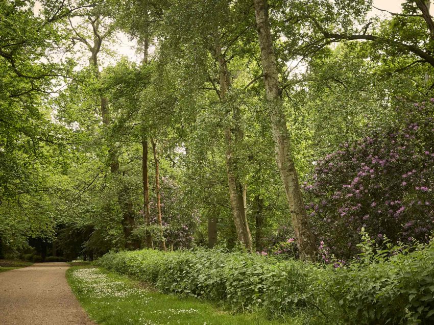path