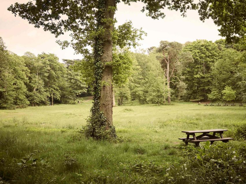 picnic_bench